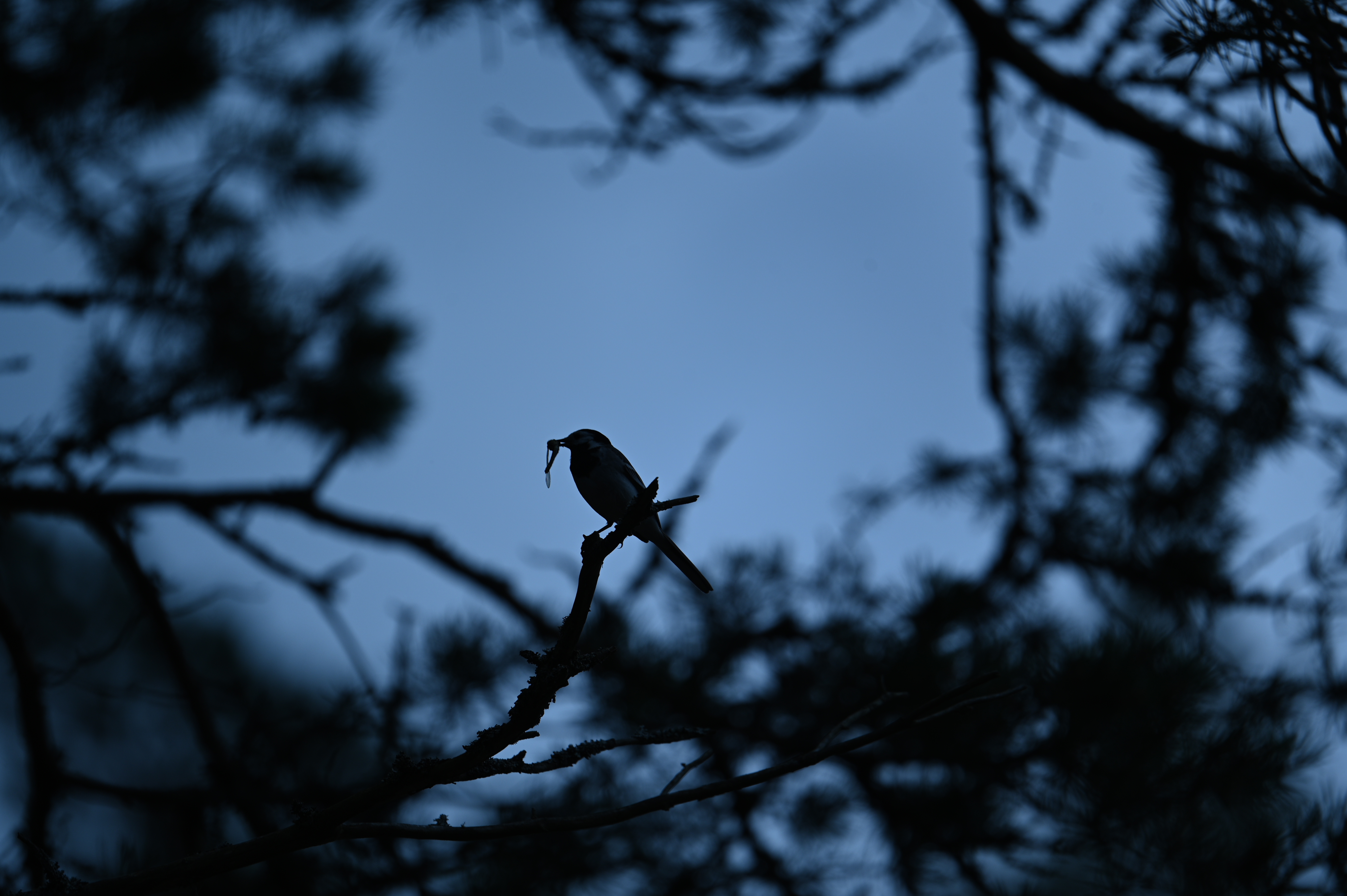 2025/07/09-14 - trip/DSC_0379.JPG